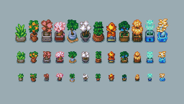 Potted Plants
